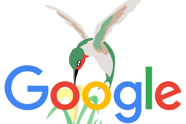 Google Koliber